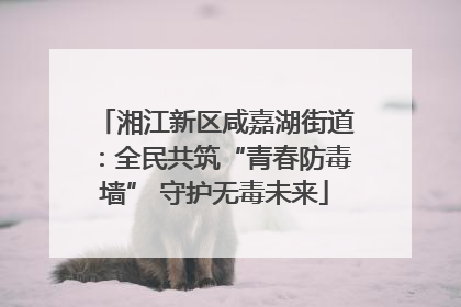 湘江新区咸嘉湖街道：全民共筑“青春防毒墙” 守护无毒未来