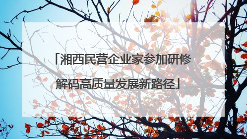 湘西民营企业家参加研修 解码高质量发展新路径