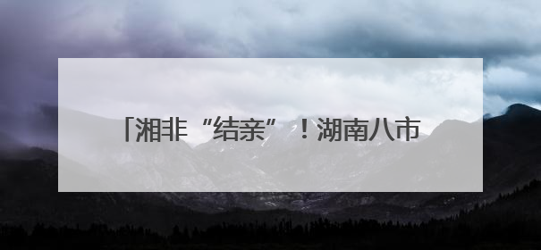 湘非“结亲”！湖南八市与非洲九城缔结友好城市