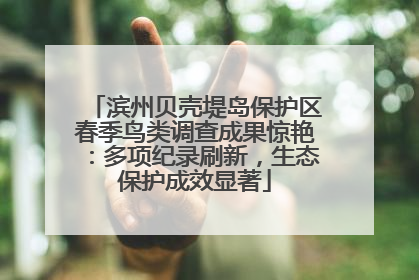 滨州贝壳堤岛保护区春季鸟类调查成果惊艳：多项纪录刷新，生态保护成效显著