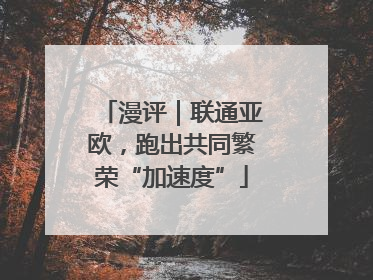 漫评｜联通亚欧，跑出共同繁荣“加速度”