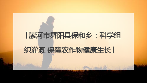 漯河市舞阳县保和乡：科学组织灌溉 保障农作物健康生长