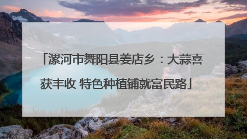 漯河市舞阳县姜店乡：大蒜喜获丰收 特色种植铺就富民路