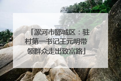 漯河市郾城区：驻村第一书记王元明带领群众走出致富路