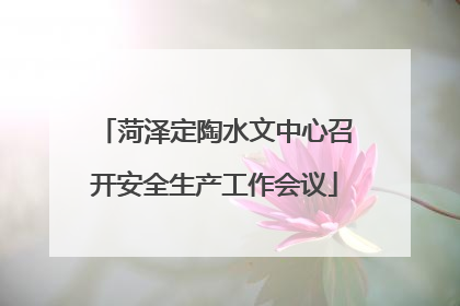 菏泽定陶水文中心召开安全生产工作会议