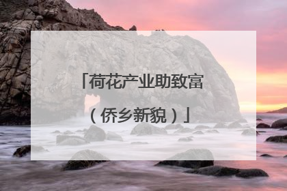 荷花产业助致富（侨乡新貌）