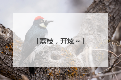 荔枝，开炫～