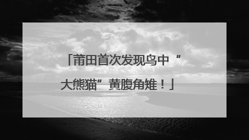 莆田首次发现鸟中“大熊猫”黄腹角雉！