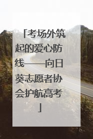 考场外筑起的爱心防线——向日葵志愿者协会护航高考