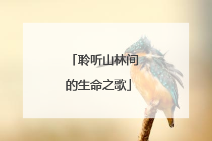 聆听山林间的生命之歌