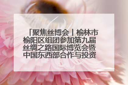 聚焦丝博会丨榆林市榆阳区组团参加第九届丝绸之路国际博览会暨中国东西部合作与投资贸易洽谈会