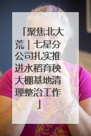 聚焦北大荒｜七星分公司扎实推进水稻育秧大棚基地清理整治工作
