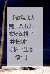 聚焦北大荒｜八五九农场深耕“林长制” 守护“生态绿”