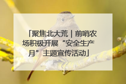 聚焦北大荒｜前哨农场积极开展“安全生产月”主题宣传活动