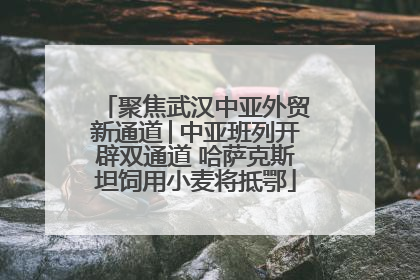 聚焦武汉中亚外贸新通道│中亚班列开辟双通道 哈萨克斯坦饲用小麦将抵鄂
