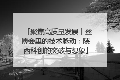 聚焦高质量发展丨丝博会里的技术脉动：陕西科创的突破与想象
