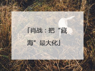 肖战：把“藏海”最大化