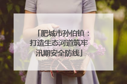 肥城市孙伯镇：打造生态河道筑牢汛期安全防线