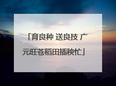 育良种 送良技 广元旺苍稻田插秧忙
