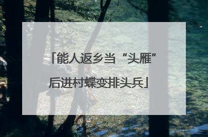 能人返乡当“头雁” 后进村蝶变排头兵