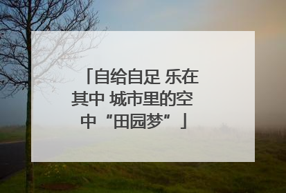 自给自足 乐在其中 城市里的空中“田园梦”