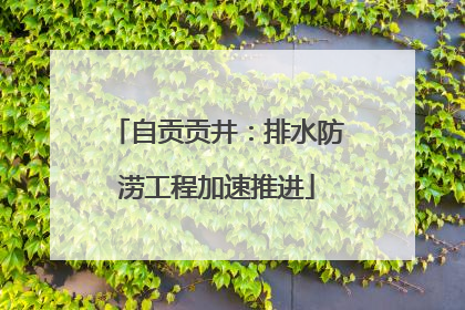 自贡贡井：排水防涝工程加速推进