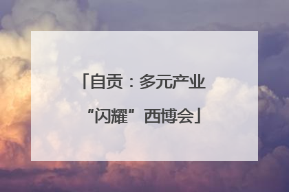 自贡：多元产业“闪耀”西博会