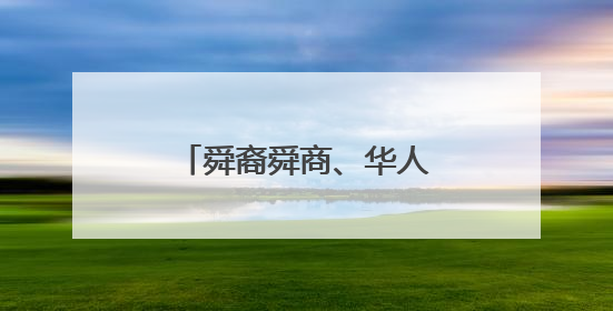 舜裔舜商、华人华侨花车巡游、文化踩街点亮宁远