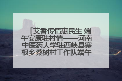 艾香传情惠民生 端午安康驻村情——河南中医药大学驻西峡县寨根乡桑树村工作队端午中医惠民记
