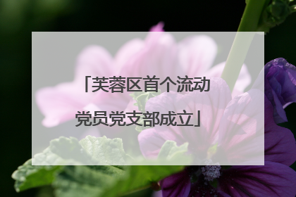 芙蓉区首个流动党员党支部成立
