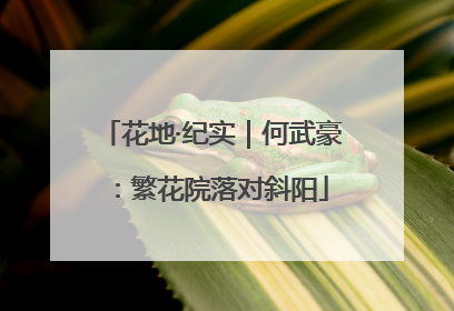花地·纪实｜何武豪：繁花院落对斜阳