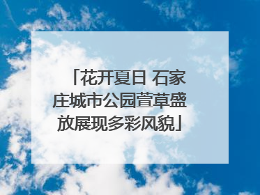 花开夏日 石家庄城市公园萱草盛放展现多彩风貌