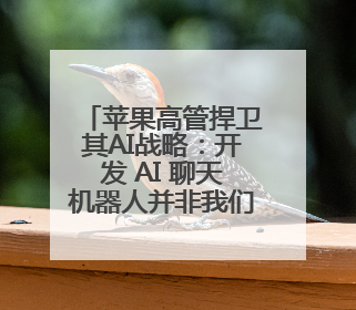 苹果高管捍卫其AI战略：开发 AI 聊天机器人并非我们的目标