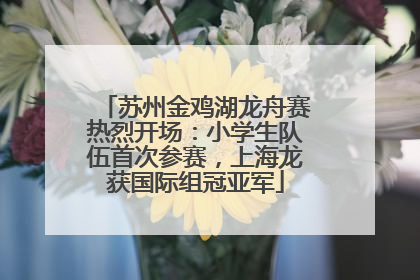 苏州金鸡湖龙舟赛热烈开场：小学生队伍首次参赛，上海龙获国际组冠亚军