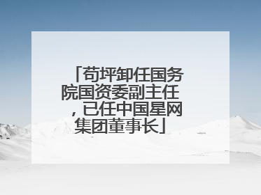 苟坪卸任国务院国资委副主任，已任中国星网集团董事长