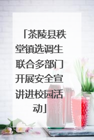 茶陵县秩堂镇选调生联合多部门开展安全宣讲进校园活动