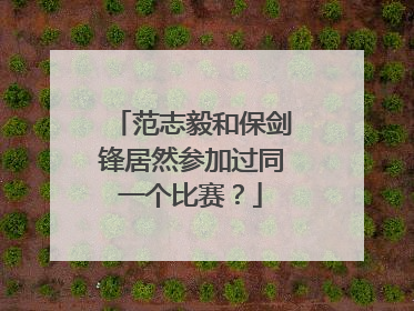范志毅和保剑锋居然参加过同一个比赛？