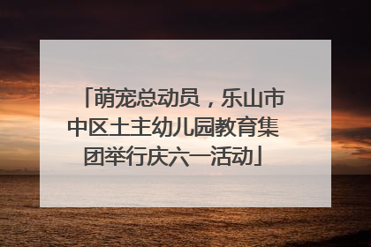 萌宠总动员，乐山市中区土主幼儿园教育集团举行庆六一活动