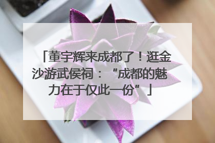 董宇辉来成都了！逛金沙游武侯祠：“成都的魅力在于仅此一份”