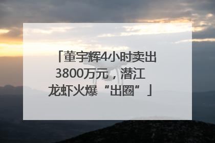 董宇辉4小时卖出3800万元，潜江龙虾火爆“出圈”