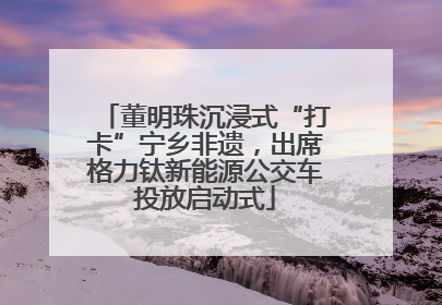 董明珠沉浸式“打卡”宁乡非遗，出席格力钛新能源公交车投放启动式