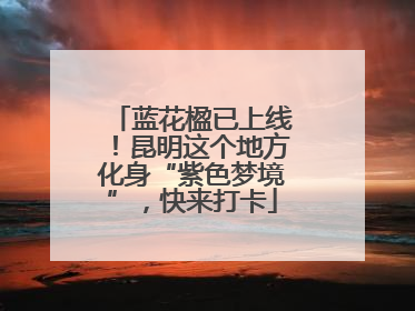蓝花楹已上线！昆明这个地方化身“紫色梦境”，快来打卡
