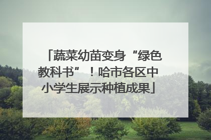 蔬菜幼苗变身“绿色教科书”！哈市各区中小学生展示种植成果