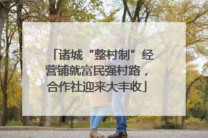 诸城“整村制”经营铺就富民强村路，合作社迎来大丰收
