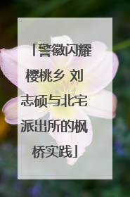 警徽闪耀樱桃乡 刘志硕与北宅派出所的枫桥实践