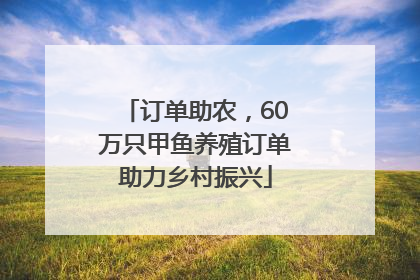 订单助农，60万只甲鱼养殖订单助力乡村振兴