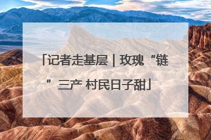 记者走基层｜玫瑰“链”三产 村民日子甜