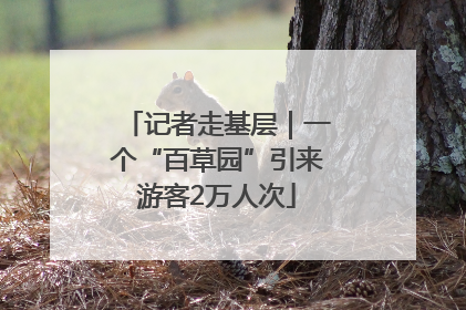 记者走基层｜一个“百草园”引来游客2万人次