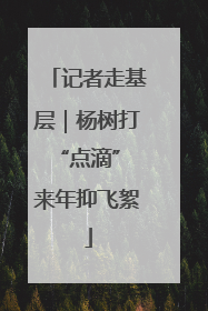 记者走基层｜杨树打“点滴” 来年抑飞絮