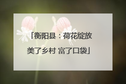 衡阳县：荷花绽放 美了乡村 富了口袋